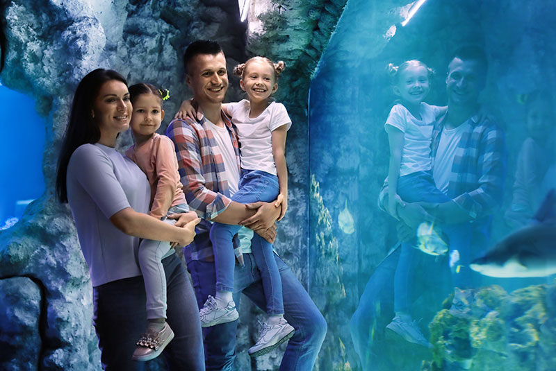 family at the aqua tank checking at the fish